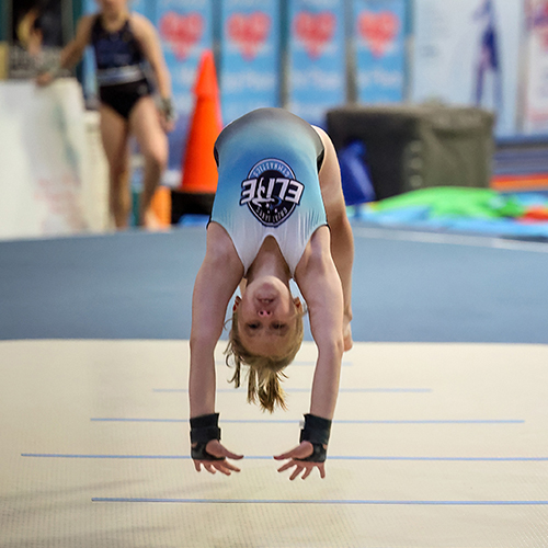 Team GLE Competitive Gymnastics